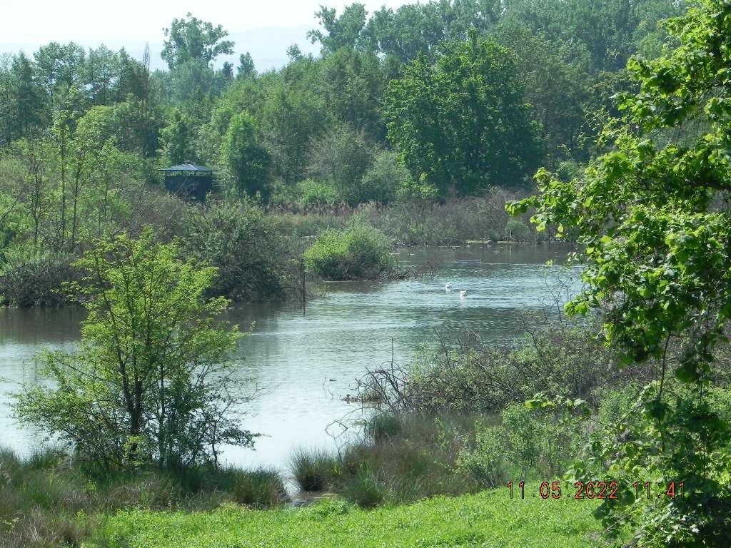Gite 3 Frontieres Hagenthal-le-Bas Екстериор снимка
