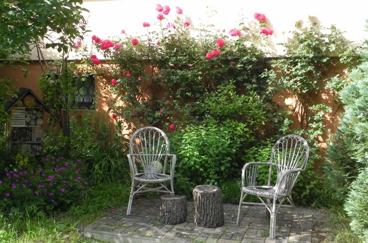 Gite 3 Frontieres Hagenthal-le-Bas Екстериор снимка